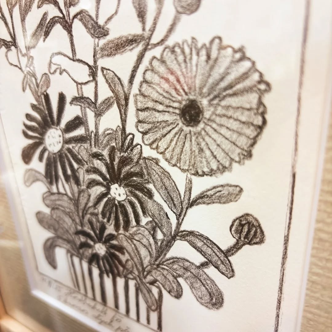 Instagram image